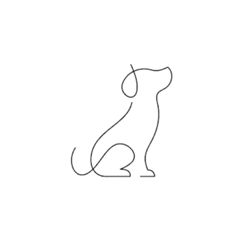 cavalier-cheval-filwood