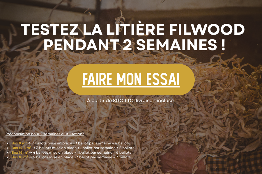 Testez la litière Filwood pendant 2 semaines !